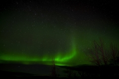 Kirkjubæjarklaustur - Northern Lights