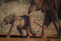 Tsavo East National Park