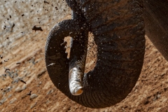 Tsavo West National Park