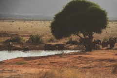 Tsavo East National Park