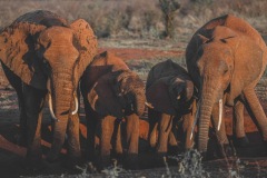 Tsavo East National Park