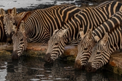 Tsavo East National Park