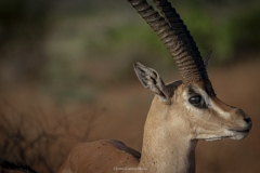 Tsavo East National Park