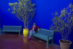 JARDIN MAJORELLE